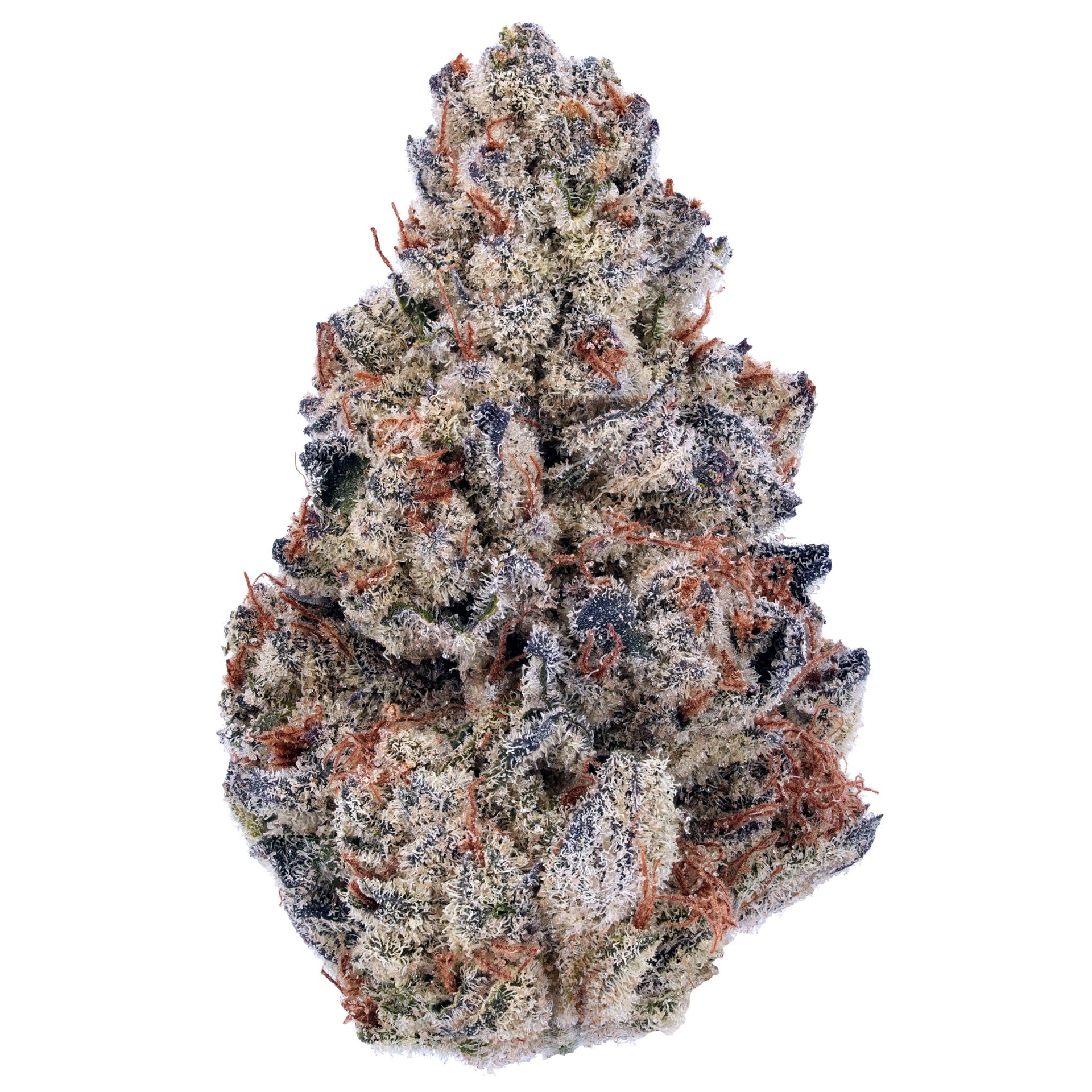 Cherry Chocolate Widow THCa Flower 1g