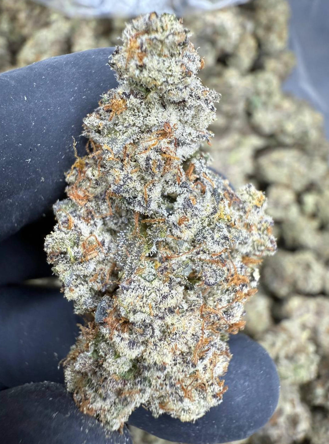 Flower  Perm Marker (1G)