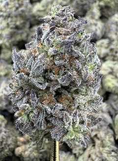 THCa Flower