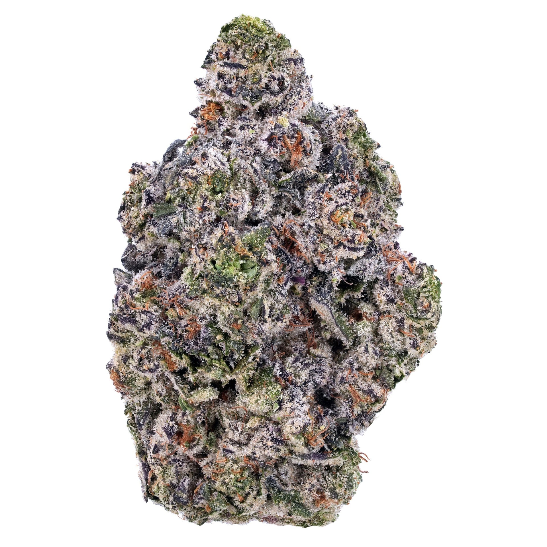 Headband THCa Flower 1g