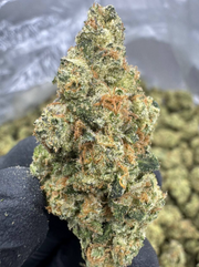 Mule Fuel + FREE Shipping