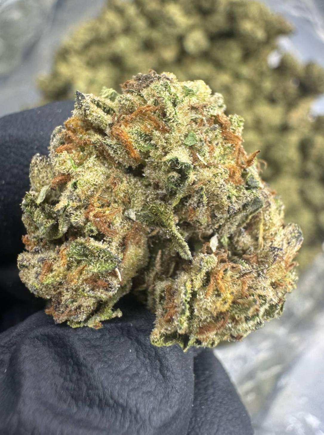 Pineapple Express + FREE Shipping