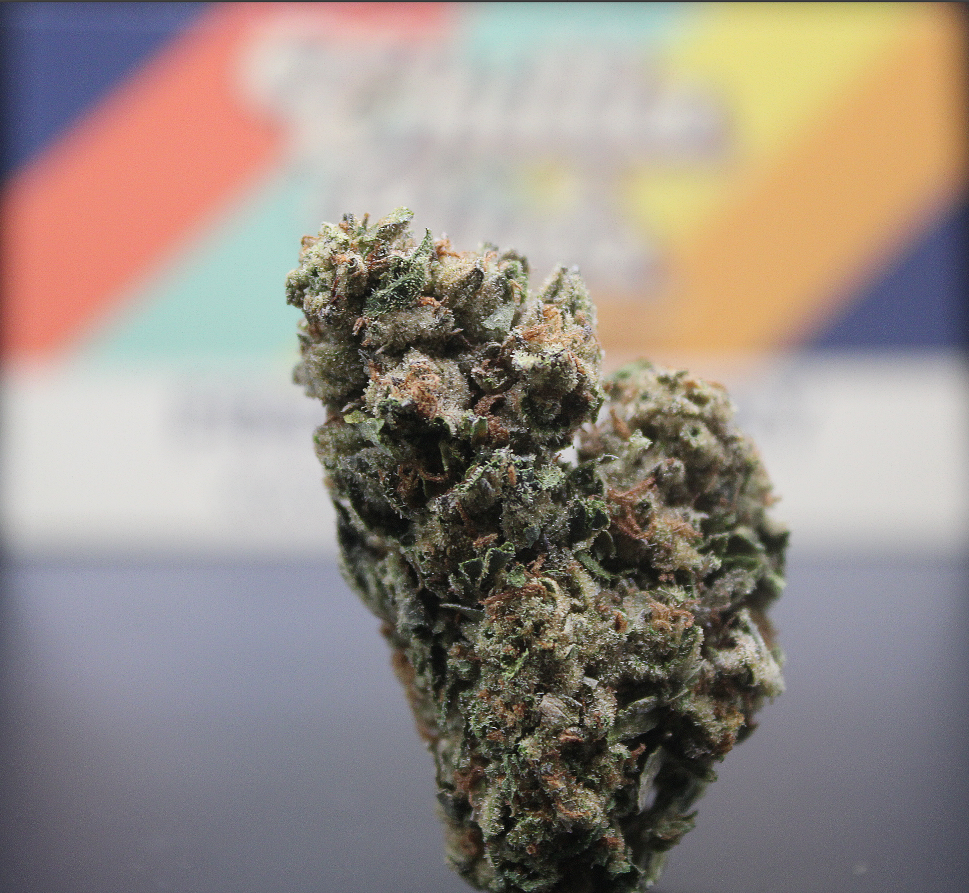 Pineapple Express + FREE Shipping